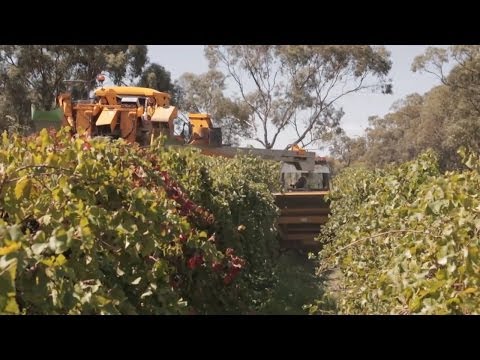 Migrate to Two Wells and Barossa Region, South Australia