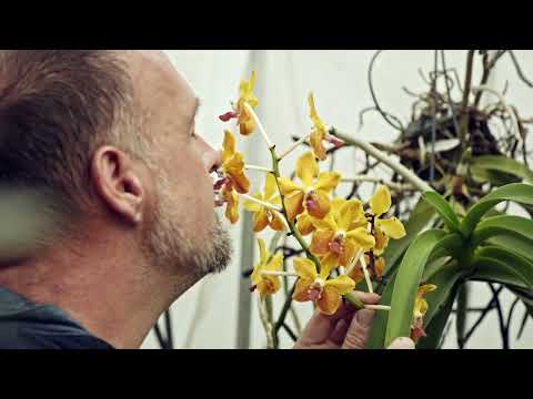 The Tattooed Gardener Inc. video.