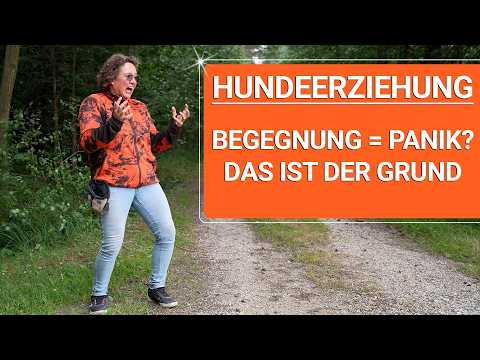 💥🐶 Rethinking dog training 👉 No more holding and braking! 🐶💥✔️