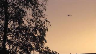 Caro Emerald - Black Valentine..🎵