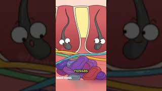 Por que os pelos crescem mais grossos ao redor de feridas em cicatrização?