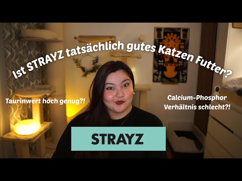 Ist STRAYZ tatsächlich gutes Katzen Futter?  | CatWissen