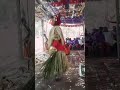 Annappa Panjurli Kola Kasargod
