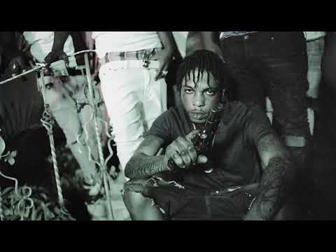 Wildlife Pettodene   Thoughts (Visualizer)