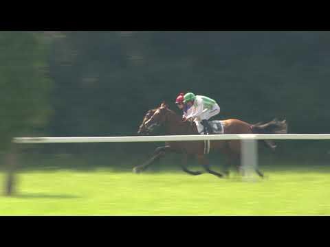 4. dostih - Cena Zemědělské a les. sl. Liška Albrechtice (IV, 3000 m) - dostihy Netolice 16. 8. 2020