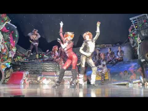 CATS Bows - Vienna - 05/05/2022