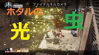 [bo3ネタ]TDM ラスキルHIVE×6人キル
