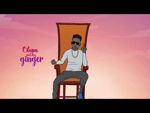 Reekado Banks - Happy yourself [Visualizer]