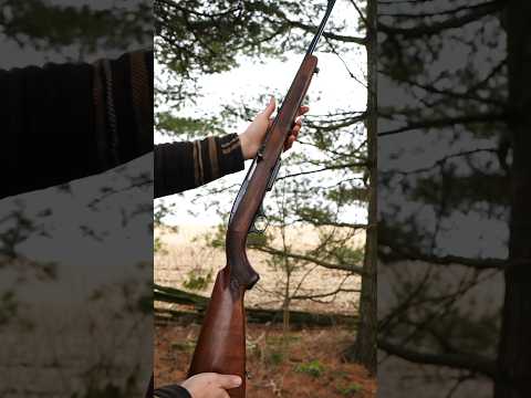 Winchester XPR Bolt Action Rifle!