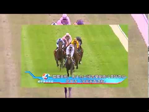 [2013 香港國際賽事] 《國際賽深度遊》第1集 - 誰是「矇矓美態」的馬主？