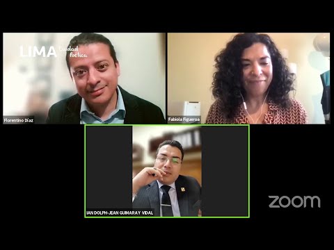 Sesión de Comisión Ordinaria Virtual Nº 30 Comisión Metropolitana de Educación y Cultura