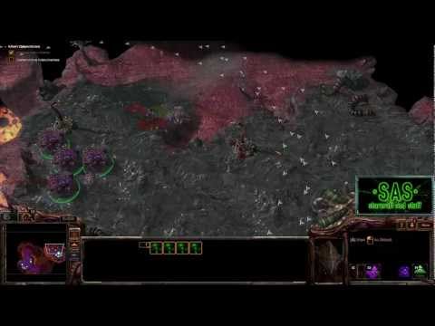 Swarm Host Evolution - Heart of the Swarm