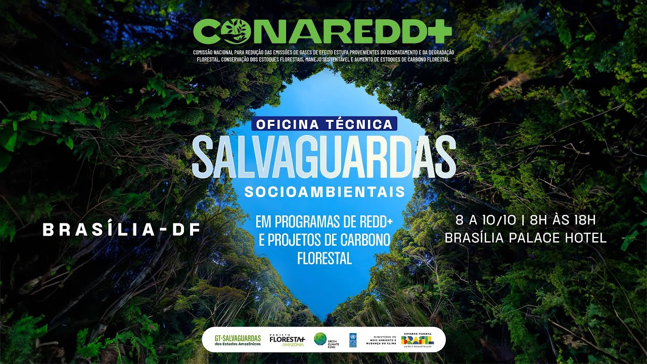 Salvaguardas Socioambientais em Programas Redd+ e Projetos de Carbono Florestal - 1º dia