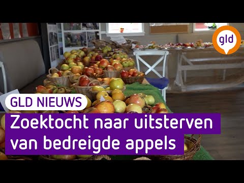 GLD Nieuws 29 oktober 2022