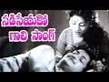 Raja Makutam Songs - Sadiseyako Gaali - N.T. Rama Rao, Kannamba, Rajasulochana, Gummadi