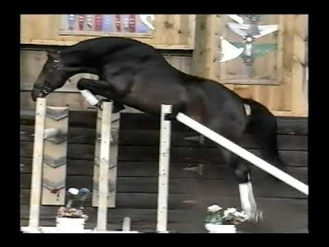 Romantic Star 060715