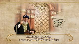 מרן הראשל"צ הגאון רבי שלמה משה עמאר, פרשת בהעלותך תשפ"ו,