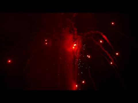 100s 30mm Red Crossette & Silver Fish w  Blue Pistil 2016