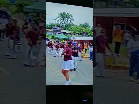 Tele brunca: Buenos Aires Puntarenas