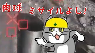 #06デュアルショックで快適!!COD MOBILE♪