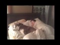 Siberian Husky Sleep Song: What do Oso's Dream of?