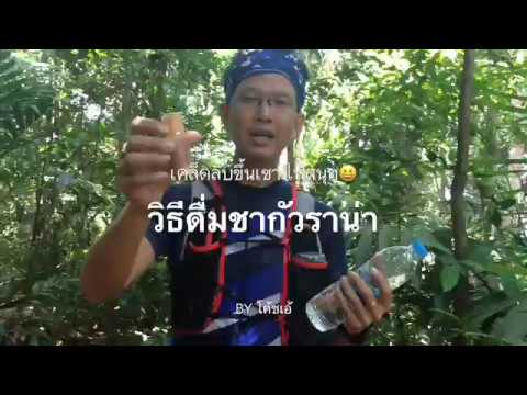 นมผึ้งในการรักษาความอ่อนแอ วิธีการที่ไม่แรงปวดหลัง