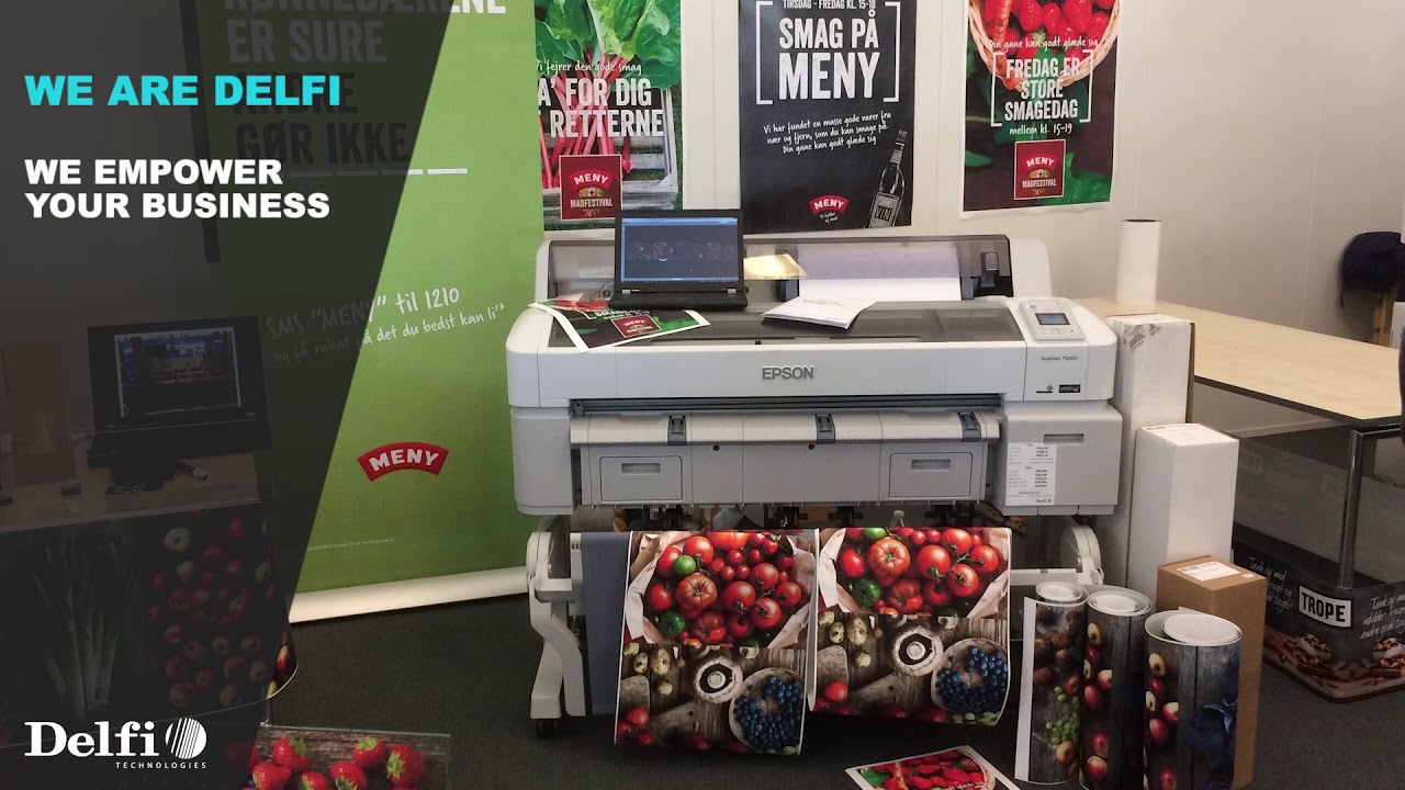 Delfi Technologies | Our Solutions