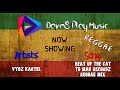 Vybz Kartel Beat Up The Cat Reggae Remix Reggae Music