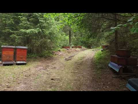 Belegstelle Lautenthal 2022