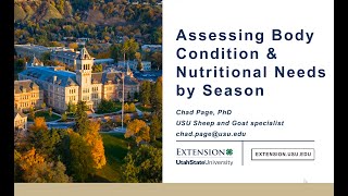 Assessing Body Condition & Nutritional Needs by Season