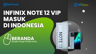 Kalian Wajib Tahu! Infinix Note 12 VIP Resmi Masuk di Indonesia, Ini Spesifikasi dan Harganya