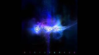 Evanescence - Say You Will