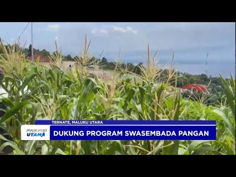 WAKAPOLDA TINJAU LAHAN KETAHANAN PANGAN SPN POLDA MALUT