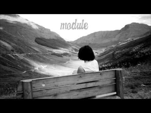 The Analog Affair - Wild