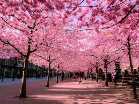 Vitodito feat Ai Takekawa - Koori (Progressive mix)