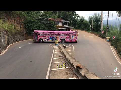 #Shrungaari #Nelligala #Ins