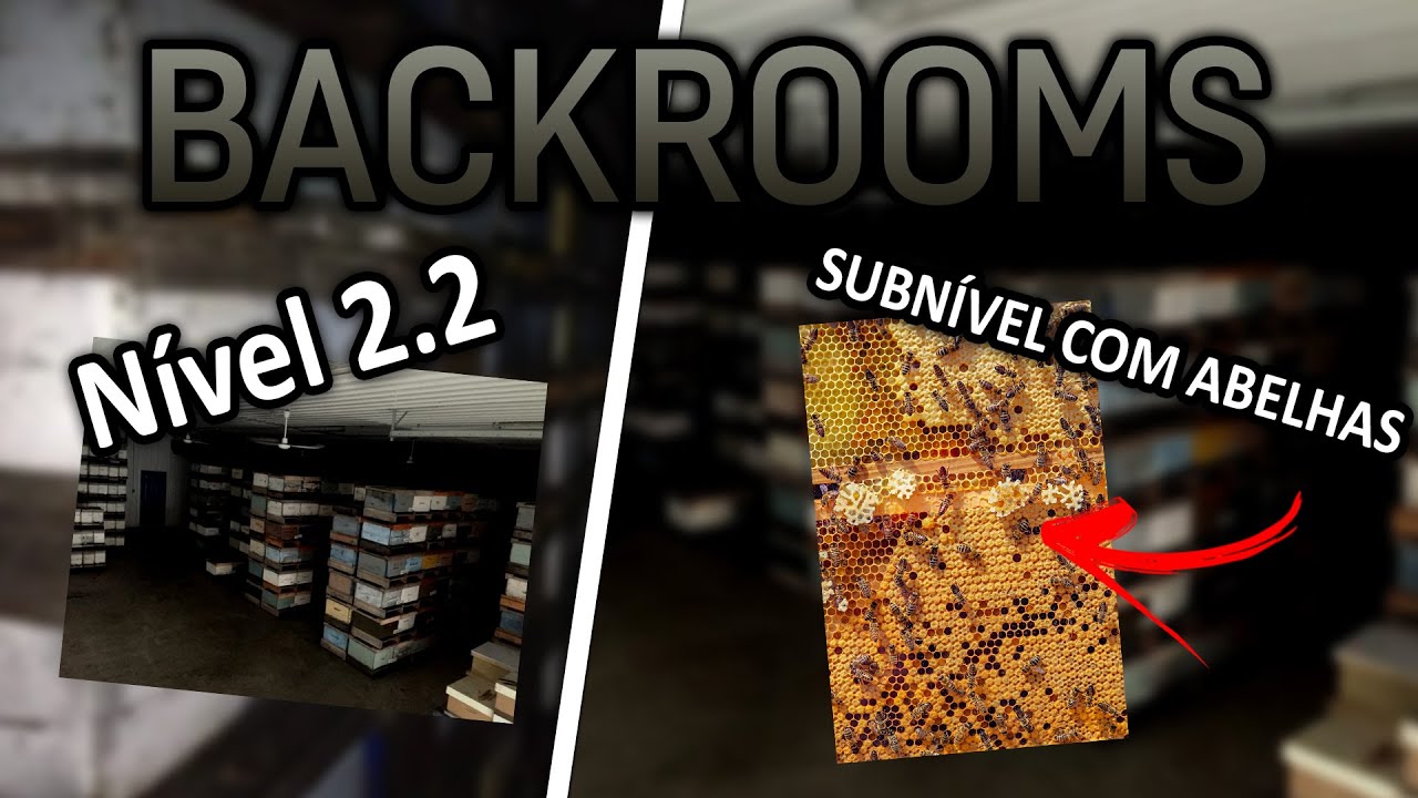 Nível 2.2 - Subnível com Abelhas - Backrooms Explicado