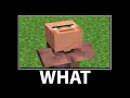 WAIT WHAT ALL EPISODES 2