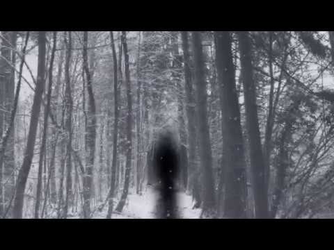 Vanhelga - Det Som Aldrig Fanns (OFFICIAL TRACK & LYRICS)