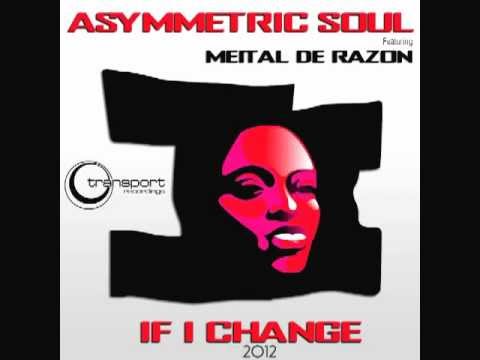 Asymmetric Soul feat Meital De Razon-If I Change (Project 2012)