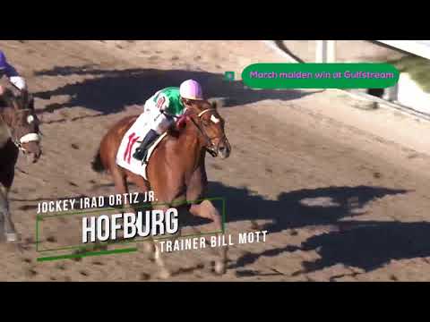 2018 Belmont Stakes Contenders - Hofburg