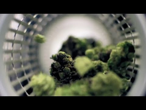 Lift & Co. Cannabis Expo Spotlight: Twister Trimmer