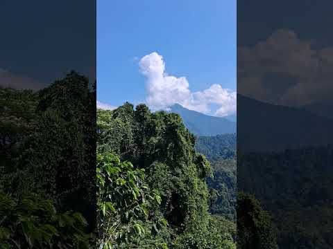 SAN MARTIN CHILE VERDE, QUETZALTENANGO GUATEMALA