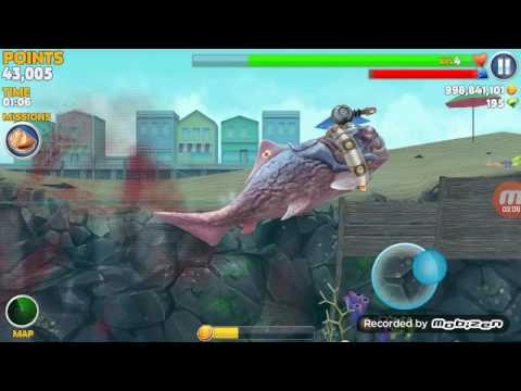 New shark mariachi baby