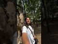 This Waterfall Broke The Internet Bpt Minivlog Viralshort Internship Umbrellawaterfall Reel