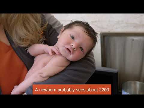 Link to Baby Basics: Newborn Exam video