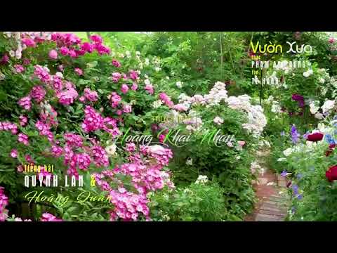 Vườn xưa - Quỳnh Lan