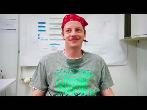 Best of Jonas (Die Discounter)