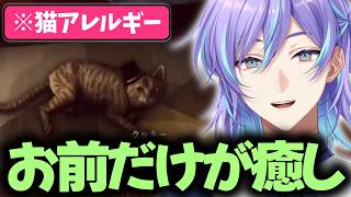 【The 18th Attic】猫アレルギーなのに縋ってしまうほどの窮地に立たされる星導ショウ【にじさんじ/星導ショウ/切り抜き】