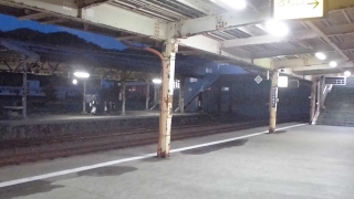 ひばり のライブ ストリーム